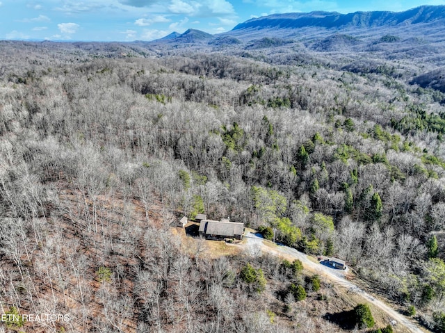 bird's eye view with a mountain view