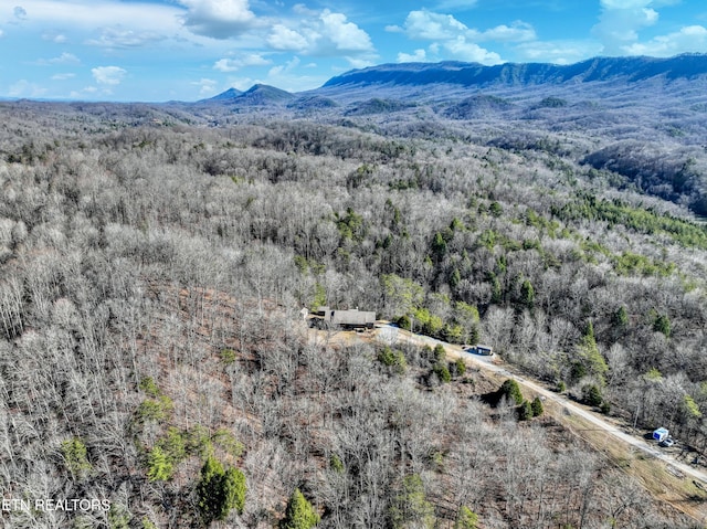 bird's eye view featuring a mountain view