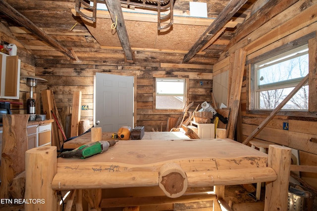 garage featuring wooden ceiling and wooden walls