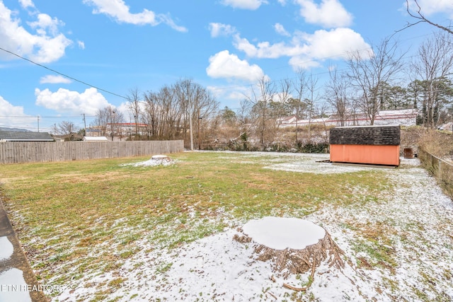 view of yard with a storage shed