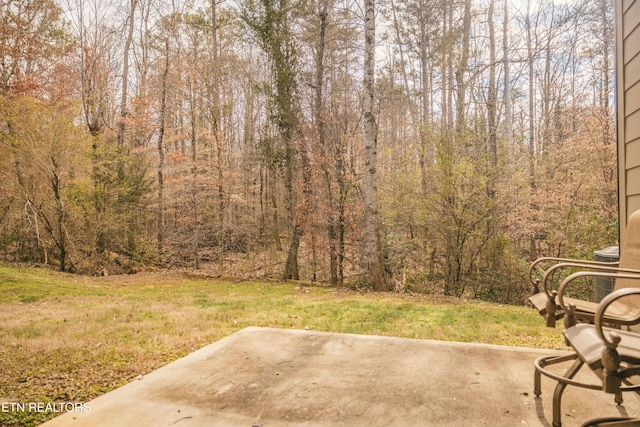 view of yard featuring a patio