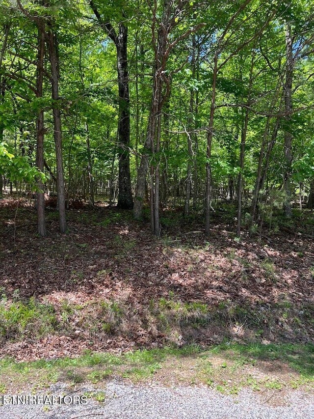 41 Benwick Ct, Crossville TN, 38558 land for sale