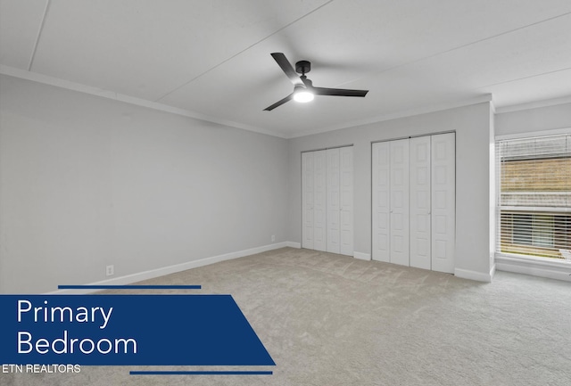 unfurnished bedroom featuring carpet flooring, multiple closets, ceiling fan, and crown molding