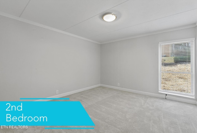 spare room with light carpet and crown molding