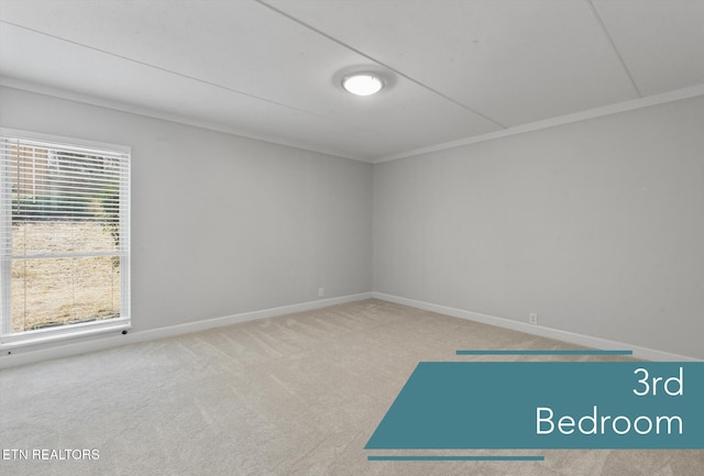 empty room featuring a healthy amount of sunlight, ornamental molding, and carpet