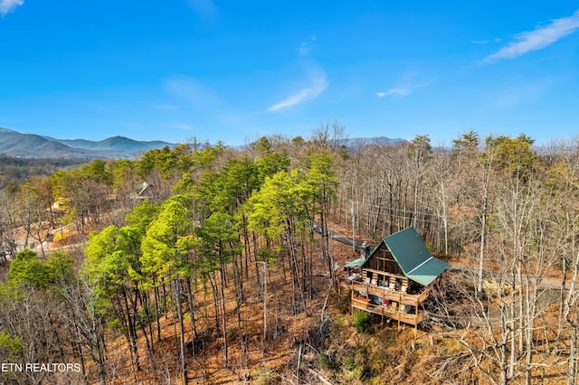 birds eye view of property featuring a mountain view