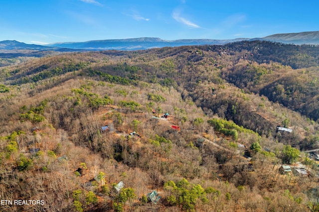 view of mountain feature