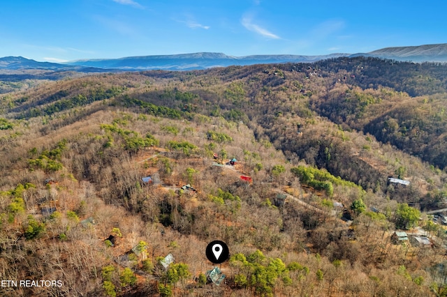 property view of mountains