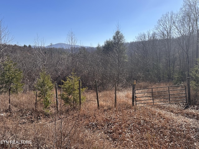 162.45AC Mill Creek Rd, Sunbright TN, 37872 land for sale