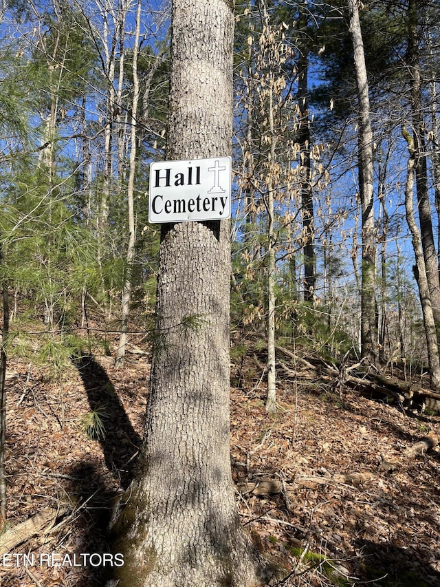 162.45AC Mill Creek Rd, Sunbright, TN 37872