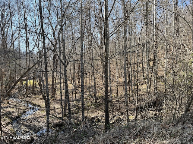 162.45AC Mill Creek Rd, Sunbright, TN 37872