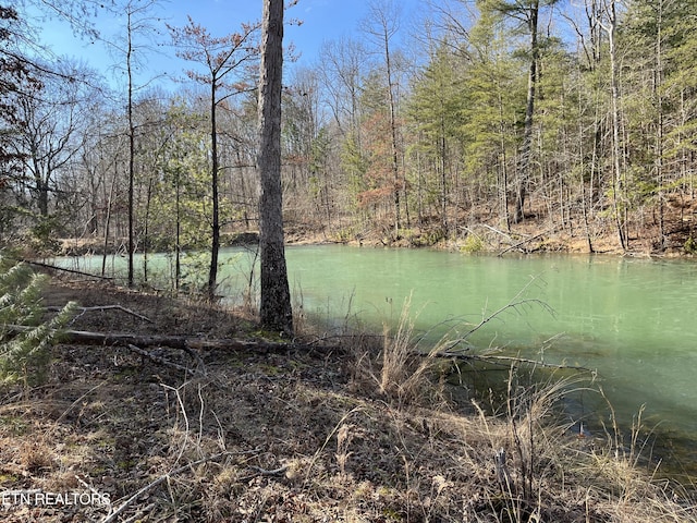 Listing photo 2 for 162.45AC Mill Creek Rd, Sunbright TN 37872