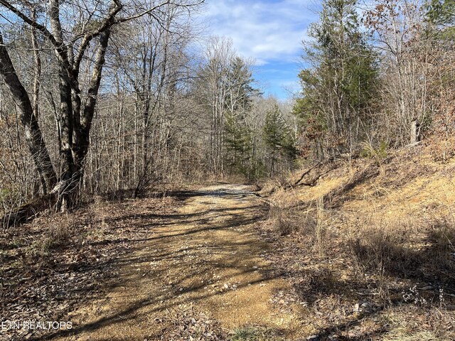 162.45AC Mill Creek Rd, Sunbright, TN 37872