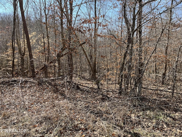 162.45AC Mill Creek Rd, Sunbright, TN 37872