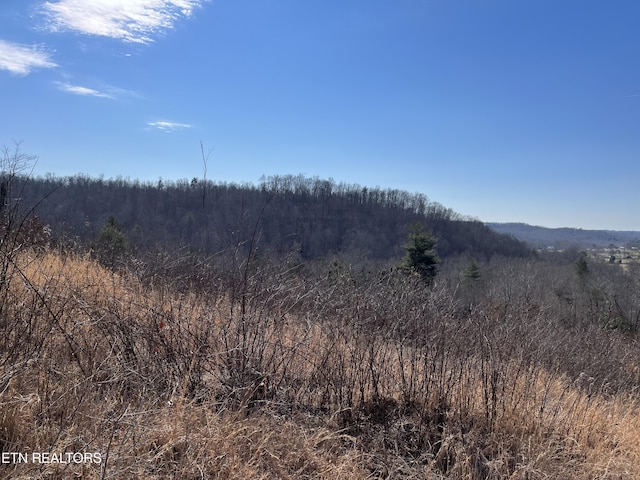 162.45AC Mill Creek Rd, Sunbright, TN 37872