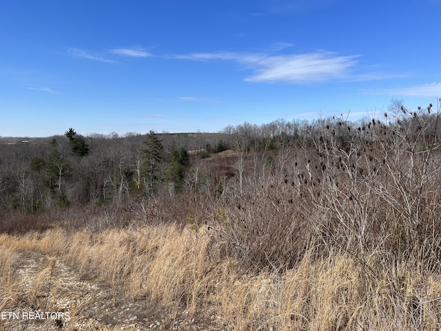 162.45AC Mill Creek Rd, Sunbright, TN 37872