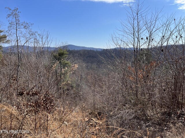 162.45AC Mill Creek Rd, Sunbright, TN 37872