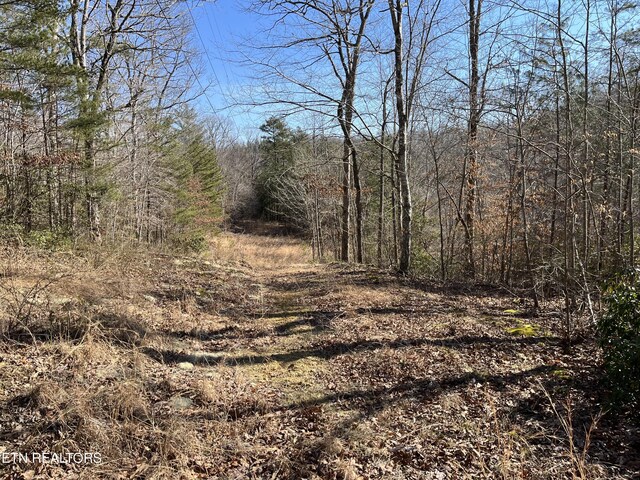 162.45AC Mill Creek Rd, Sunbright, TN 37872