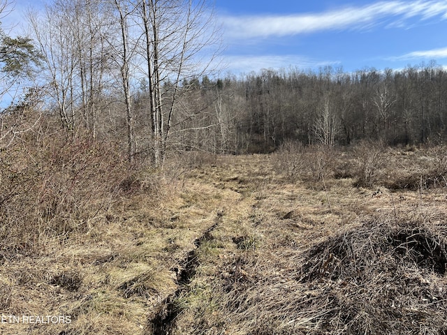 162.45AC Mill Creek Rd, Sunbright, TN 37872