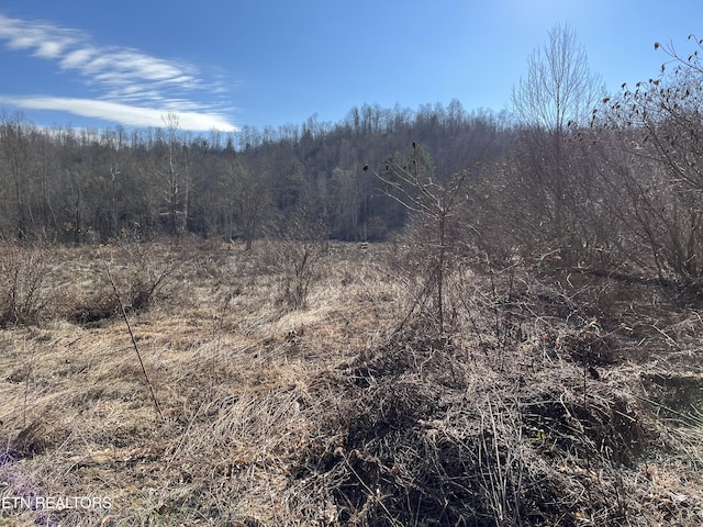 162.45AC Mill Creek Rd, Sunbright, TN 37872