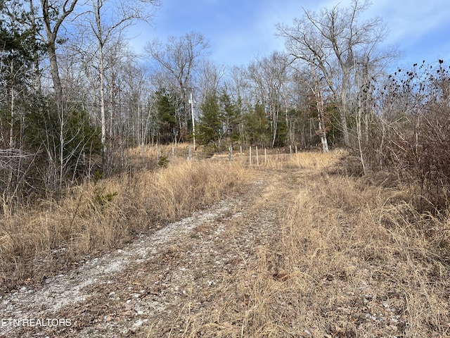 162.45AC Mill Creek Rd, Sunbright, TN 37872