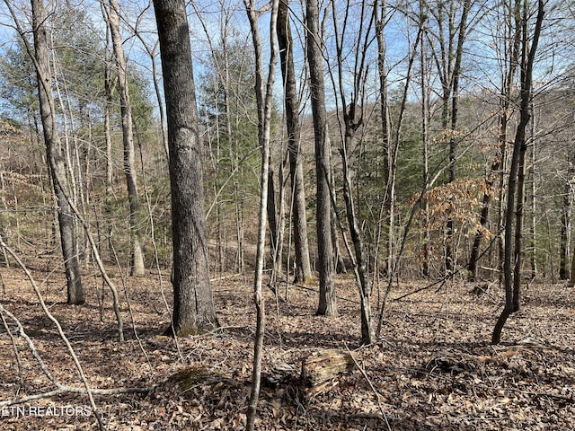 162.45AC Mill Creek Rd, Sunbright, TN 37872