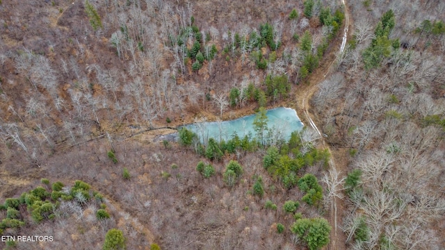 162.45AC Mill Creek Rd, Sunbright, TN 37872