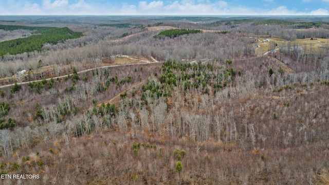 162.45AC Mill Creek Rd, Sunbright, TN 37872