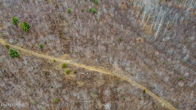 162.45AC Mill Creek Rd, Sunbright, TN 37872