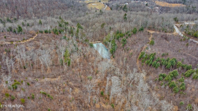 162.45AC Mill Creek Rd, Sunbright, TN 37872