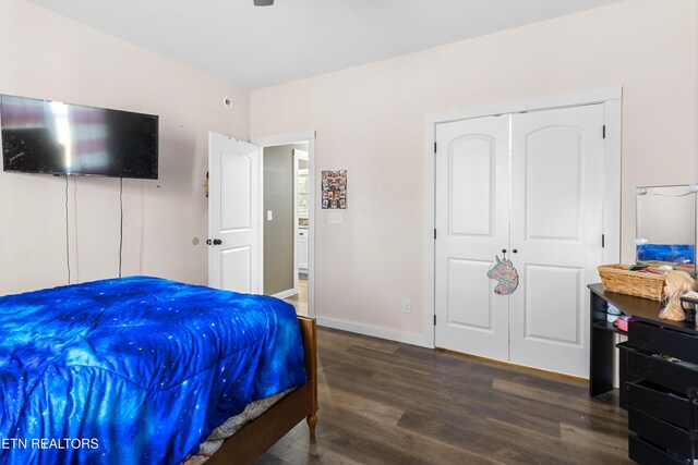 499 Woodland Trl, Sunbright, TN 37872 - bedroom featuring wood finished floors and a closet