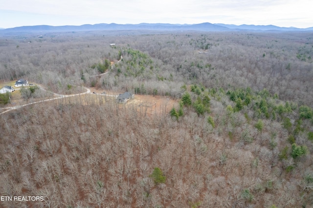 bird's eye view with a mountain view