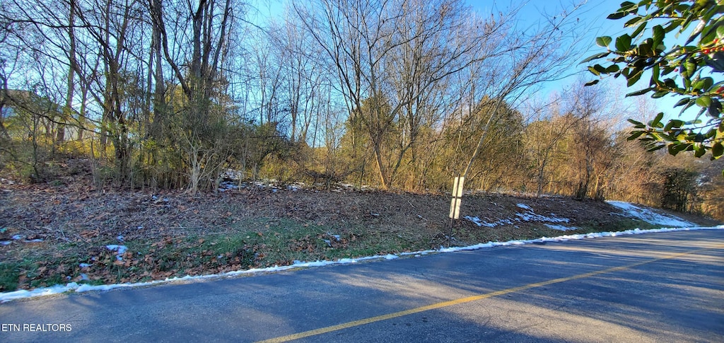 103 Oonoga Way, Loudon, TN 37774 - photo 1