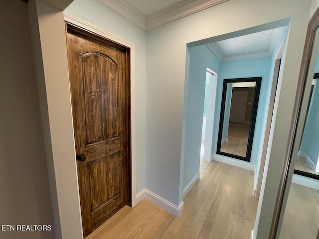 2733 Jersey Ave Unit C302, Knoxville, TN 37919 - hallway featuring light hardwood / wood-style flooring and ornamental molding