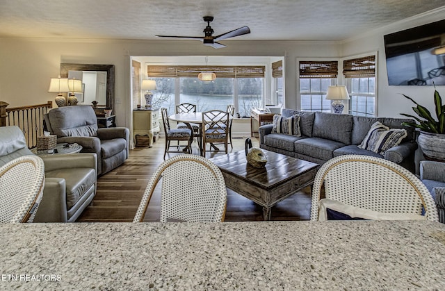 living room with a textured ceiling, dark wood-type flooring, ceiling fan, and crown molding