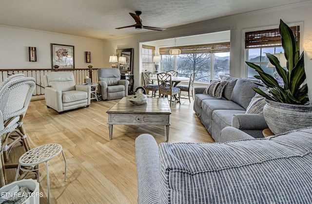 living room with ceiling fan, a textured ceiling, a wealth of natural light, and light hardwood / wood-style flooring