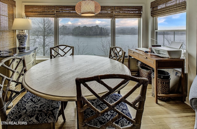 dining space with a healthy amount of sunlight, a water view, and light hardwood / wood-style flooring