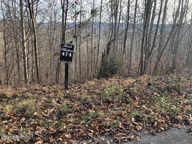 Silver Trl Lot 474, New Tazewell TN, 37825 land for sale