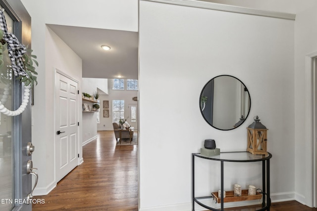 foyer featuring dark hardwood / wood-style flooring