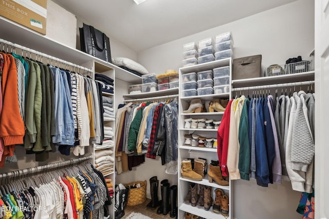 view of walk in closet