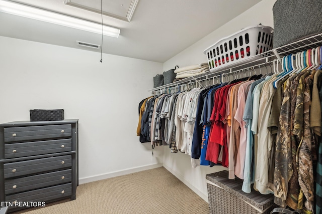 spacious closet with carpet