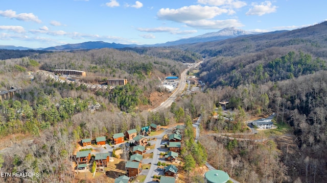 aerial view with a mountain view