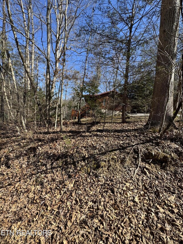 view of local wilderness