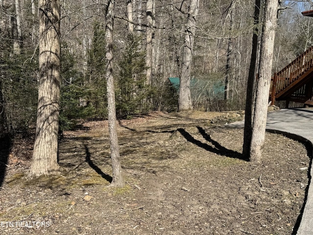 view of yard featuring stairway