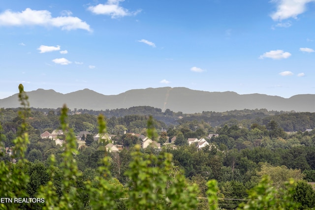 property view of mountains