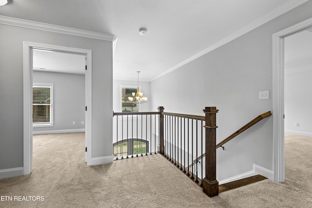 hall with carpet, a healthy amount of sunlight, and ornamental molding