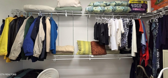 view of spacious closet