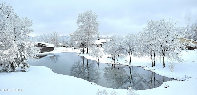 snowy yard with a water view