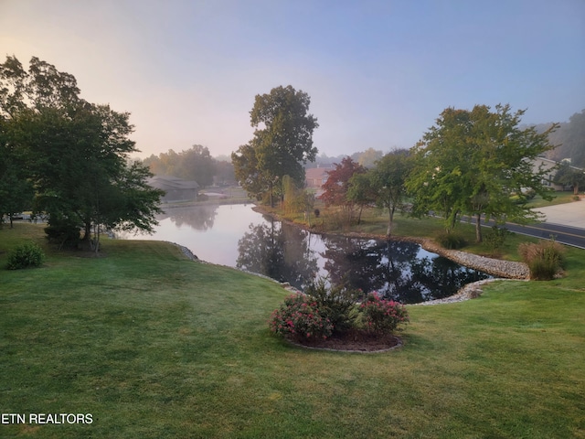 view of water feature