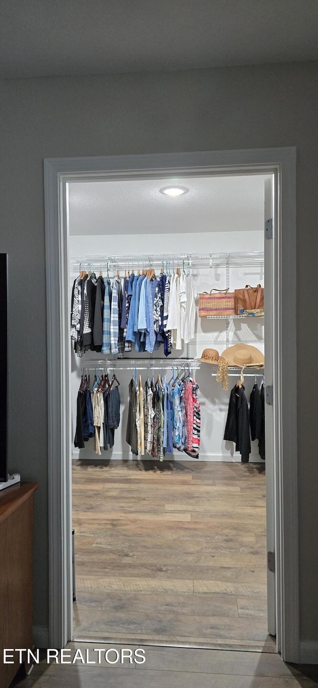 view of closet